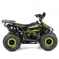 Minicuatrimoto Tao Motor 2024 Automática para Niños con Reversa y Transmisión por Cadena ATV 110cc Infantil