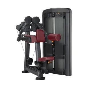 Farbe Optional Workout Fitness Sport Kabel maschine Gym Lateral Raise mit kostenlosen Ersatzteilen