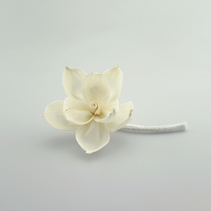 Bán buôn sen Sola gỗ hoa khuếch tán hoa với mây cho sậy khuếch tán - Product Image 4