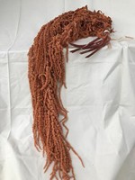 Natürlich Konservierte Amaranth-Hängeblumenstiele Getrocknete Botanische Sprühe für Hochzeits- und Eventdekoration