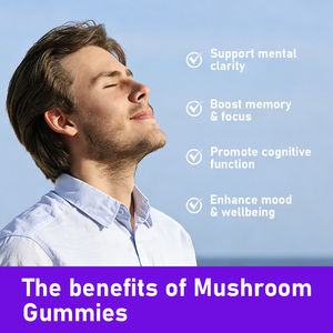 High Quality Mushroom Gummies Sodium Support Mentalclarity Boost Memory Focus Mushroom Vegan Friendly Gummies - Product Image 3