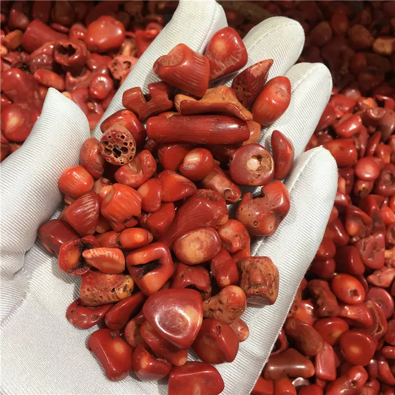 Großhandel rohen natürlichen Kristall kies getrommelt Stein rote Koralle rau für Natural Healing Asset