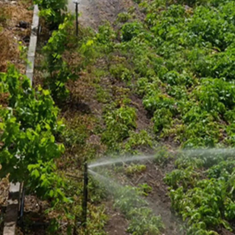 Tuyau de pluie à micro pulvérisation Connecteur de tuyau agricole pour ferme Tube de micro pulvérisation Tuyau de pluie à jet laser Système d'irrigation