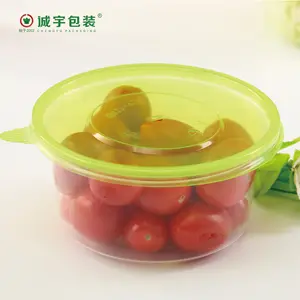 Factory Supplier Dinner Table Set Plastic Fruit Salad Melamine Mixing Bowls Melamine Serving Bowl with Lid Print Christmas Space