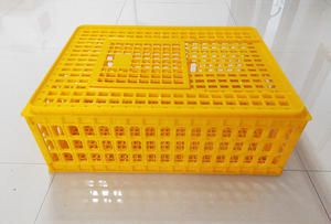 9 Cages de Transport de poules en <span class=keywords><strong>plastique</strong></span>, casier de Transport de volaille, meilleure vente - Product Image 6