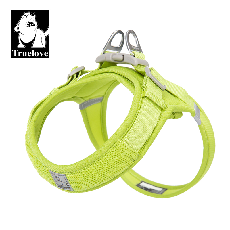 Citron vert
