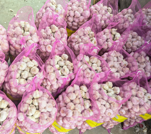 Ajo recién cosechado de China, vendido directamente por un exportador experimentado de ajo fresco de China, precio mayorista de ajo fresco, precio bajo, ajo - Product Image 4