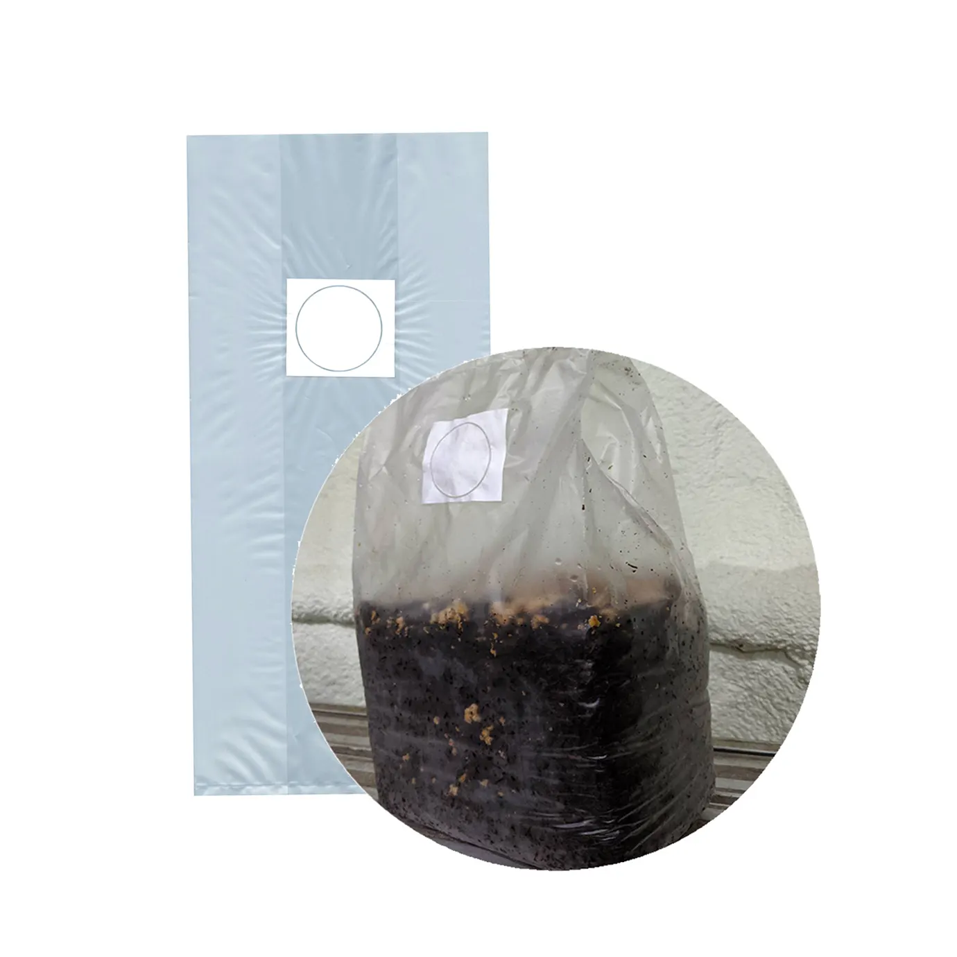 High quality seed supplier shiitake mushroom substrate plant grow bags