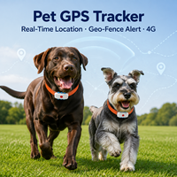 Traceur GPS 4G sans fil pour animaux de compagnie, étanche, avec positionnement mondial Beidou, pour collier de chien et de chat, localisateur anti-perte pour animaux, GPS espion pour moto