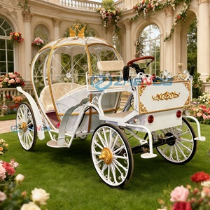 Nouvelle annonce : Élégante carrosse électrique en forme de citrouille, capacité 4-6 places, 4 roues, personnalisable, à vendre - Product Image 1