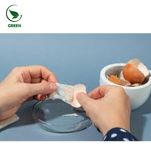 Poudre de peptides de membrane d'œuf sauvage de qualité alimentaire, oligopeptide à petites molécules 99% avec collagène de <span class=keywords><strong>type</strong></span> - Product Image 3