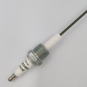 Électrode de détection d'allumage 20/5000 pour les États-Unis, sonde de détection, prise d'électrode 10002242-1, détecteur pour Stock200 - Product Image 5