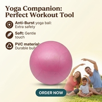 Ballon de yoga antidéflagrant MJD-WG147-65 de haute qualité en PVC épais, équipement d'exercice anti-pression pour studio de Pilates