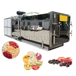 Advanced Structure Food Freeze Dryer / Vacuum Freeze Dryer / Fruit Freeze Dryer