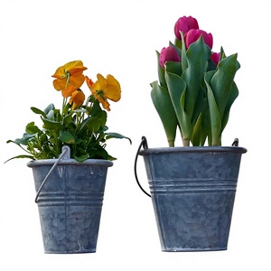 Maceta Moderna de Metal Galvanizado con Asa, Cubo para Plantas, Maceta para Decoración de Jardín y Hogar - Product Image 1