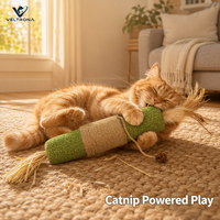 Bâton géant de catnip pour chat, jouet interactif avec corde en sisal et plumes pour le jeu