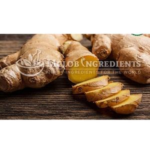 Extrait de poudre de gingembre Complément alimentaire naturel à base de plantes pour la digestion, l'immunité, l'anti-inflammation, le bien-être et la santé quotidienne - Product Image 1