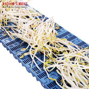 Hongsbelt 102B açık ızgara delikli modüler kemer delikli, kolay temiz yıkama konveyör bant gıda işleme için - Product Image 3