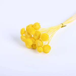 Offre Spéciale séché fleur Billy boules pissenlit petite boule préservée Mini bouton chrysanthème pour la décoration <span class=keywords><strong>de</strong></span> mariage - Product Image 6