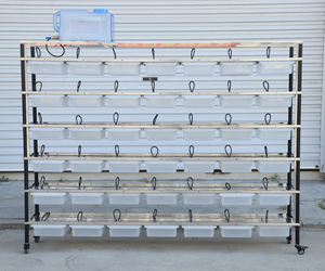 Kandang Ternak Tikus <span class=keywords><strong>Hamster</strong></span> Profesional Berkualitas Tinggi Rak Plastik Stainless Steel Tempat Makan dan Pengamatan Tikus Ruiputeer - Product Image 2