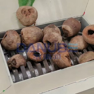 Machine à déchiqueter les bunches de palmiers haute performance, équipement de déchiquetage des brochettes de fruits creux de palmiers - Product Image 1