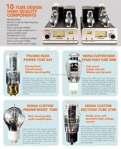 Verbesserter Sprach-300B-845-Röhrenverstärker mit 35W Standlautsprechersystem - Product Image 6