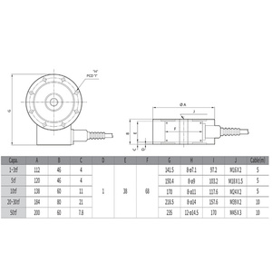 Básculas Veidt para Corea: Báscula de embudo CAS Kais LSS-20tf, LSS-30tf, LSS-50tf con sensor de tipo aro LSS-20tf, LSS-30tf, LSS-50tf Veidt W - Product Image 4