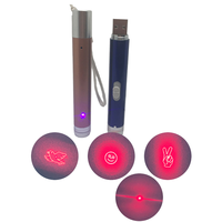 고양이 3in1 레이저 포인터 USB 충전식 LED 손전등 장난감