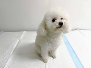 Бесплатный образец, низкая цена, 45 х<span class=keywords><strong>60</strong></span> см - Product Image 4