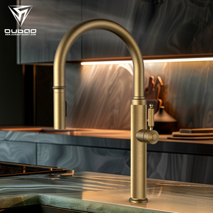 <span class=keywords><strong>Robinet</strong></span> <span class=keywords><strong>de</strong></span> cuisine moderne <span class=keywords><strong>de</strong></span> haute qualité à poignée unique en acier inoxydable brossé doré avec pulvérisateur d'eau chaude et froide - Product Image 1