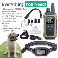 Kabelloser GPS-Aufladbarer Elektronischer Hundezaun mit Farbdisplay, Einstellbarer Radius 25-2133 Meter, IP67 Wasserdicht, Bellkontrolle