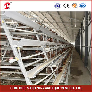 Gabbia per Polli Tipo A per 5000 Galline Ovaiole per Allevamento Avicolo - Product Image 2