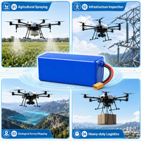 Drone UAV Jarak Jauh 51.8V 30Ah 10C 350Wh/kg Paket Daya Pengosongan Tinggi Li-ion untuk Perangkat Perlindungan Tanaman Pertanian Udara