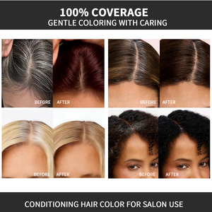Crème Colorante Capillaire Naturelle Noir Intense avec Fo-Ti, Reishi et Aloe – Soin Doux aux Herbes, Couverture Forte, Couleur Longue Durée – Kit Usine - Product Image 3