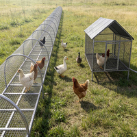 Cages à poulets galvanisées pour poules pondeuses, cages pour élevages avicoles avec installation facile et durabilité