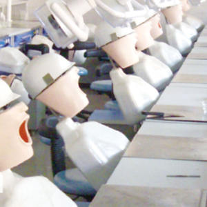 Modello di studio di tipo <span class=keywords><strong>SF</strong></span> di insegnamento dentale 32 pezzi vite di gomma morbida fissa DP articolatore modello di pratica - Product Image 3