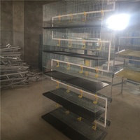 Cages de caille de ferme de volaille de vente d'usine pour la couche de production d'oeufs