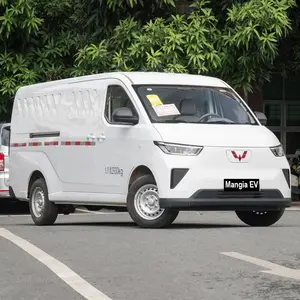 Cargo Van 2024 New Pure Electric High Quality Truck Wuling Yangguang Made In China 4WD New Energy Car With 4 Wheels 2 Seats