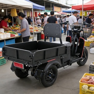 Moto hybride 3 roues à forte capacité de chargement pour la ville, 1000W, moto tout-terrain 3 roues, vente chaude en Inde - Product Image 2