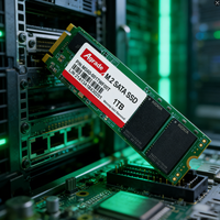قرص صلب SSD بسعة 1 تيرابايت M.2 OEM بتقنية 3D TLC NAND FLASH، M.2 2280 بسعات 256 جيجابايت و512 جيجابايت و1 تيرابايت، قرص صلب داخلي SATA 3 للكمبيوتر المكتبي والمحمول