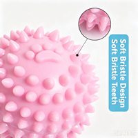 Jouet à mâcher pour chien en tissu TPR Zhejiang Macaron, bâtonnet de dentition résistant pour petits chiens, pour le nettoyage dentaire et la stimulation des molaires