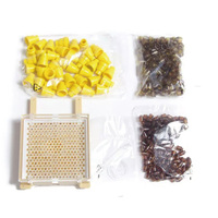Kit d'élevage de reine pour l'apiculture Système de cage à reine efficace avec outils pour la reproduction Nouveau utilisé en Allemagne pour les industries agricoles au détail