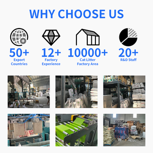 Arena para Gatos OKKPETS, Precio de Fábrica, Arena para Gatos de <span class=keywords><strong>Tofu</strong></span> Ecológica, Arena para Gatos de Bentonita Natural, Desechable por el Inodoro, 2.0 mm, Original - Product Image 5