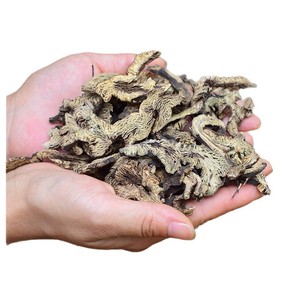 Raíz de Cimicifuga Cortada y Limpia, Sin Pesticidas, Base Herbal Premium para Tónicos <span class=keywords><strong>Kampo</strong></span> - Product Image 3