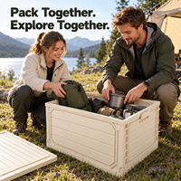 Boîte de rangement pliable en plastique pour le camping en plein air, avec couvercle en bois, anti-poussière, anti-humidité, style japonais, organisateur de coffre de voiture suspendu