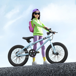 <span class=keywords><strong>Vélo</strong></span> de sport pour enfants de haute qualité avec panier en acier à 2 roues, tailles 12-20 <span class=keywords><strong>pouces</strong></span>, freins V/Dis pour garçons et filles de 3 à 12 ans - Product Image 4