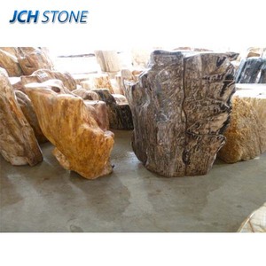 Maison jardin extérieur intérieur décoratif fossile en bois pétrifié pierre décoration aménagement paysager pierre de roche naturelle - Product Image 2