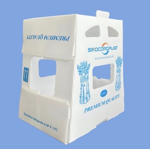 Corruone China <strong>Manufacturer</strong> PP <strong>Polypropylene</strong> Material Coreflute <strong>Boxes</strong> Corrugated Plastic Folding Fruits Vegetables <strong>Boxes</strong> - Product Image 4