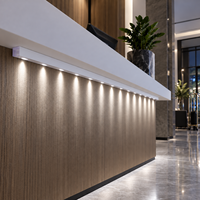 Bande lumineuse LED NEXCELL 6500K blanc froid, lentille 36 degrés, AC230V 13W/m, rouleau de 50m pour éclairage architectural