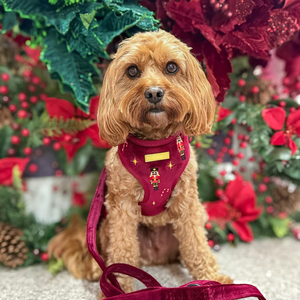 Vpetbr OEM Köpek Tasması İşlemeli Lüks Tasarımcı Özel Dokuma Taktik Tasma Yelek Evcil Hayvan Kedi Yavru Köpek Tasması Setleri - Product Image 2